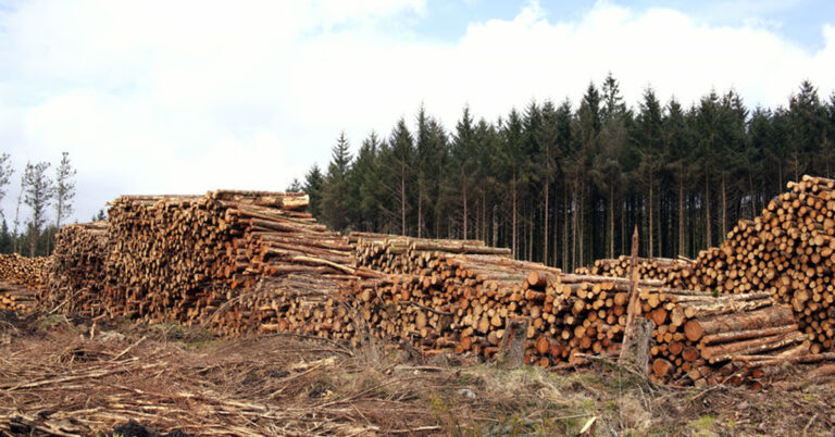 Svantaggi Serramenti in legno - Infissi Padova