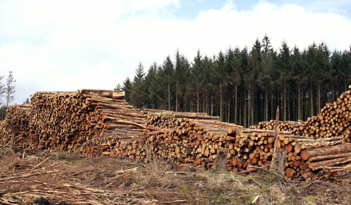 Svantaggi Serramenti in legno - Infissi Padova